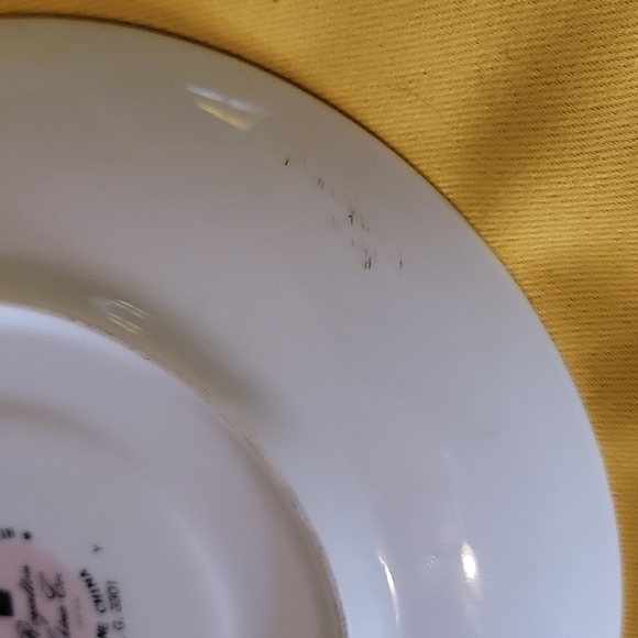 Translucent Porcelain Royalton Fine China Co. Plate - Picture 6 of 6